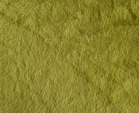 Simply Green