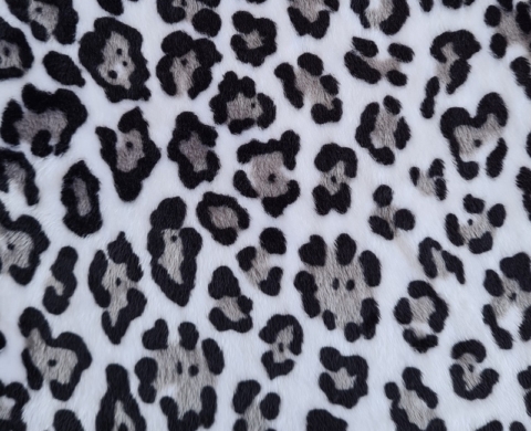 Baby Jaguar