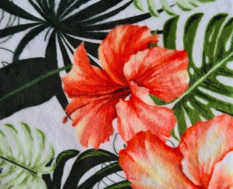 Hibiscus